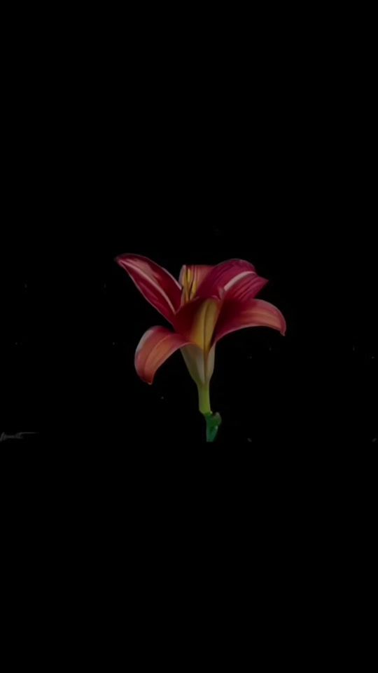 TikTok video thumbnail by fsxart