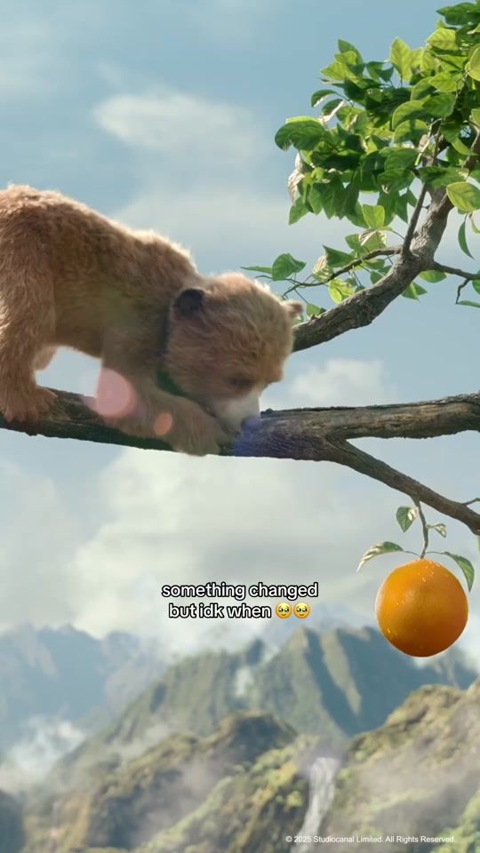 TikTok video thumbnail by paddingtonbear