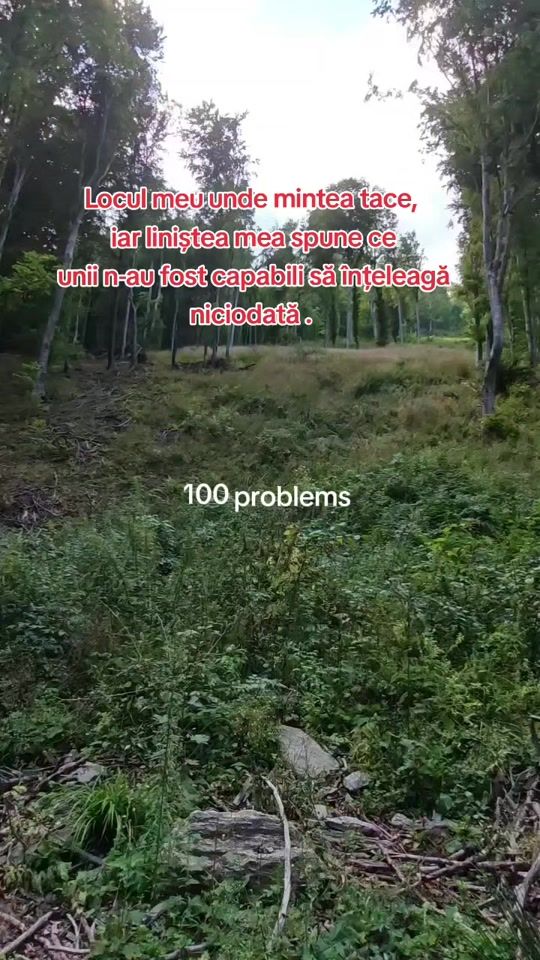 TikTok video thumbnail by __norules_