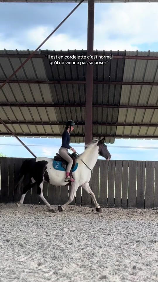TikTok video thumbnail by _balthazar_29