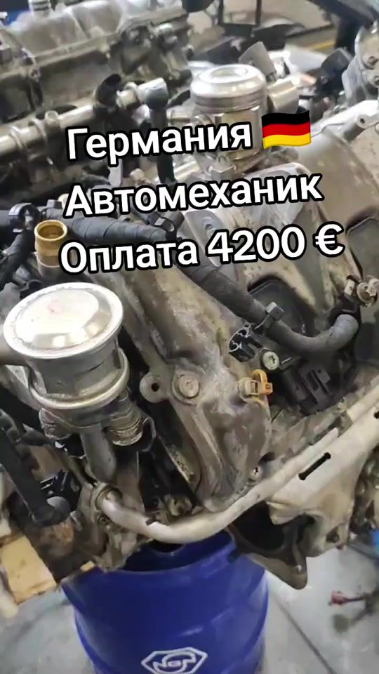 TikTok video thumbnail by rabbota25