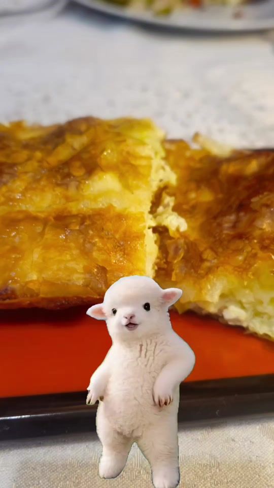 TikTok video thumbnail by ralicasamarova