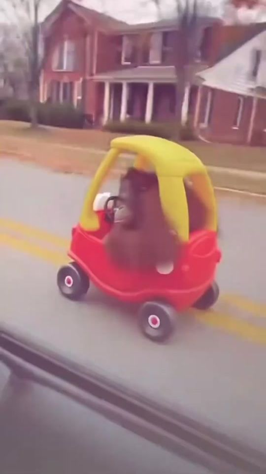 TikTok video thumbnail by il_pr_dei_calcetti