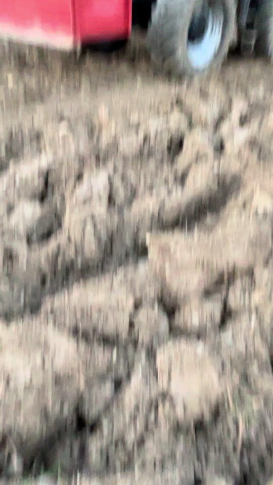 TikTok video thumbnail by nath_mabut