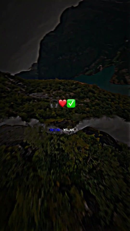TikTok video thumbnail by ws_ms_1