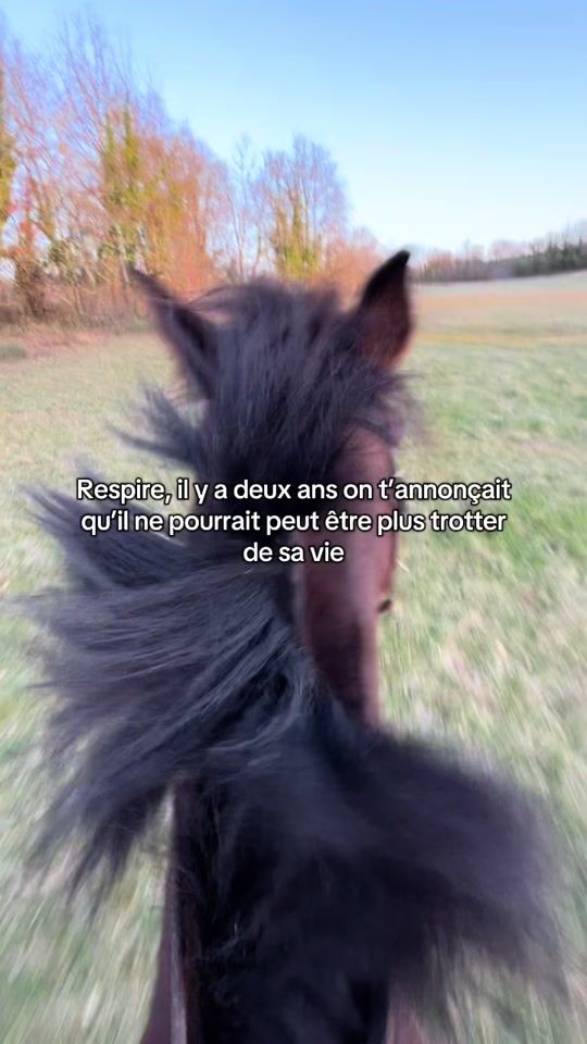 TikTok video thumbnail by alizee.jumping
