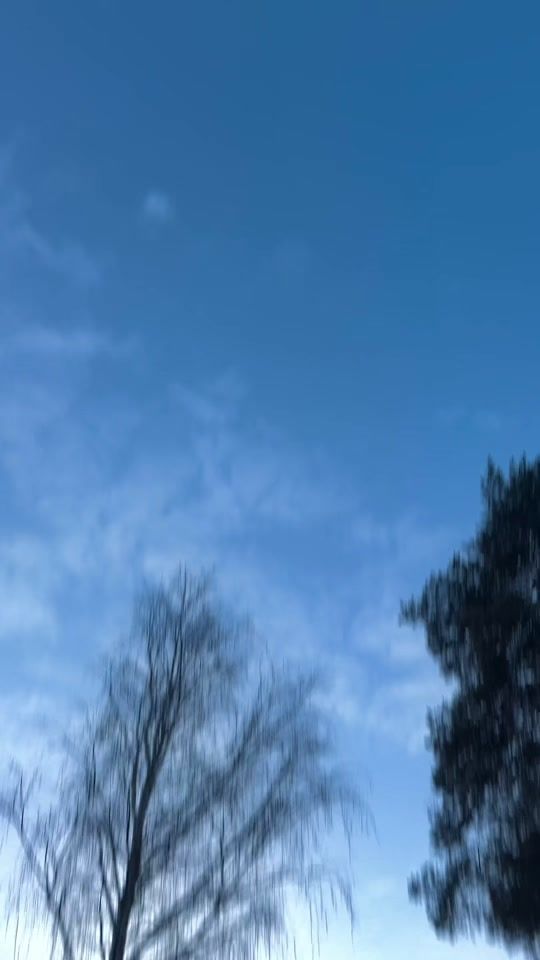 TikTok video thumbnail by jseszn