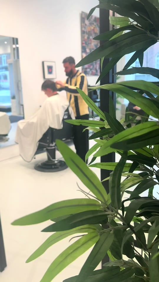 TikTok video thumbnail by hairbygashi_