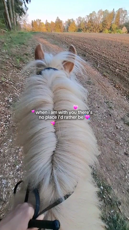TikTok video thumbnail by stepe0025