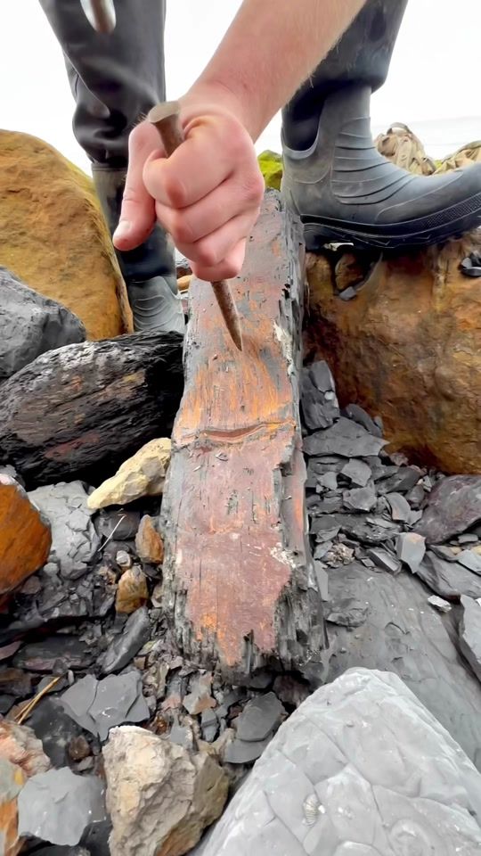 TikTok video thumbnail by yorkshire.fossils