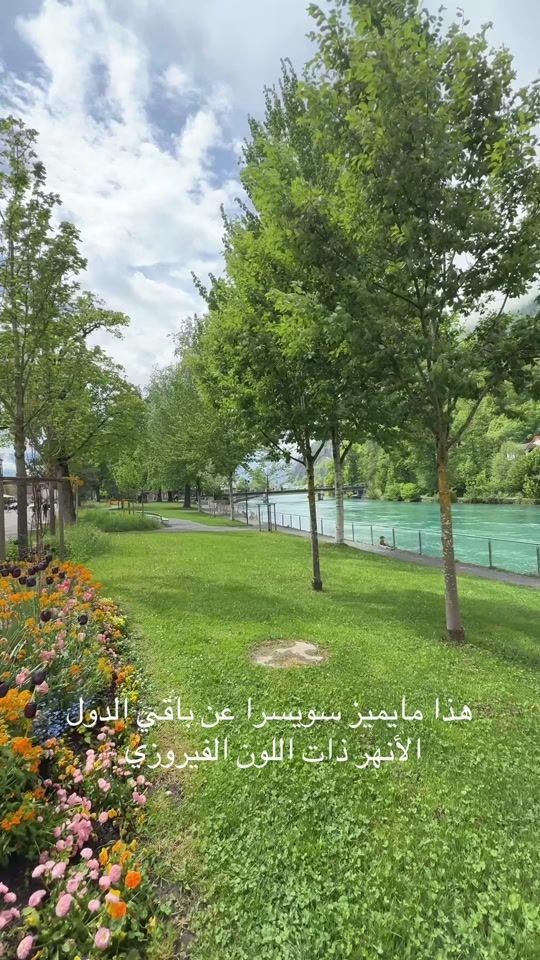 TikTok video thumbnail by swiss_with_ayham