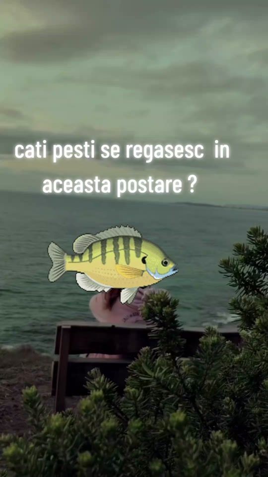 TikTok video thumbnail by monika.mony70