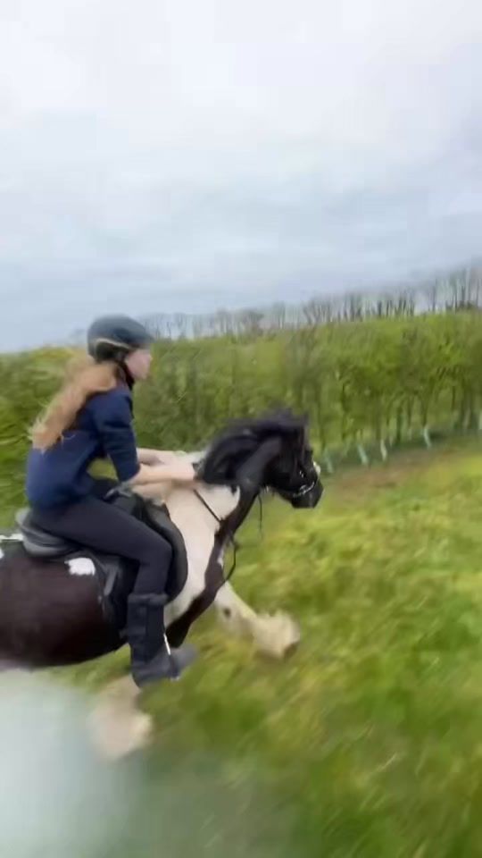 TikTok video thumbnail by ride_with_us_jl