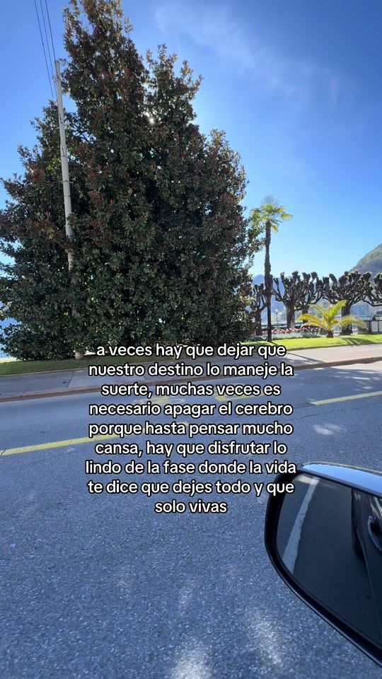 TikTok video thumbnail by owenmusick