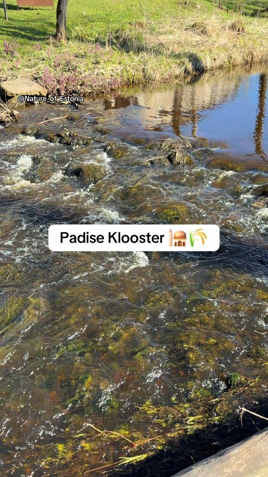 TikTok video thumbnail by nature_of_estonia