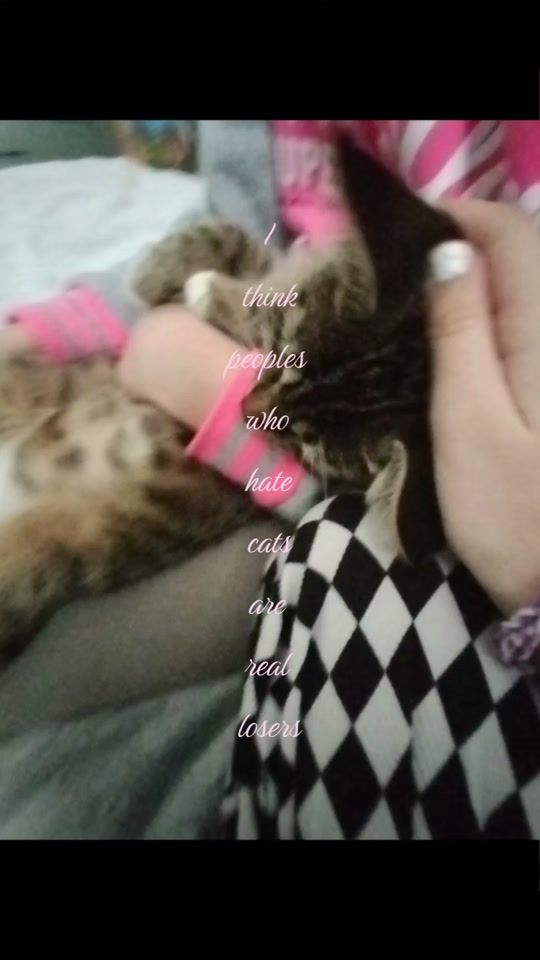 TikTok video thumbnail by roses_areblinks