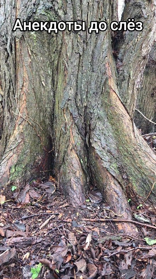 TikTok video thumbnail by okdoki978