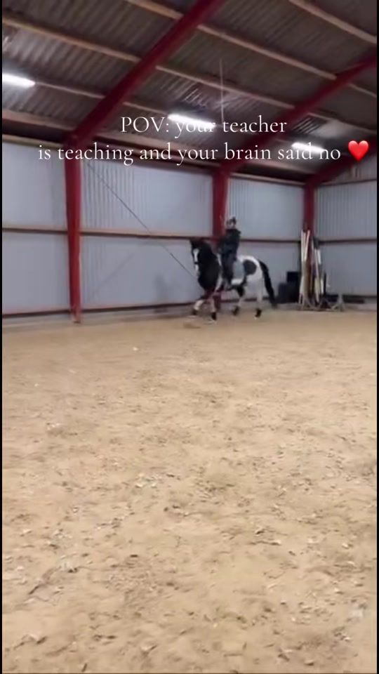 TikTok video thumbnail by dc__horses