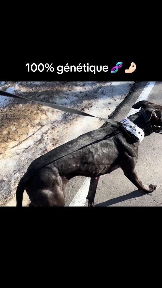 TikTok video thumbnail by daedra_freyja