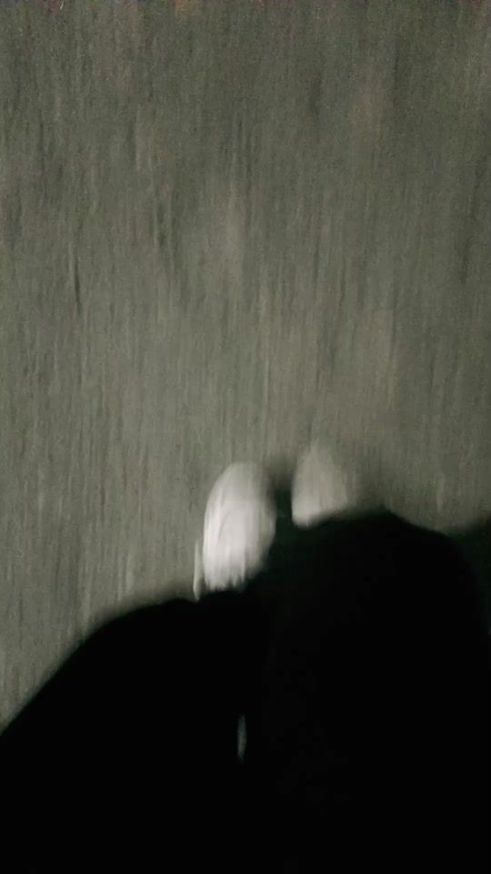TikTok video thumbnail by syed411980