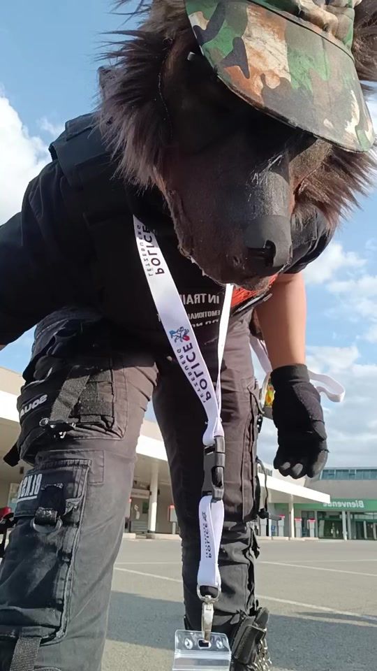 TikTok video thumbnail by bunchadogz