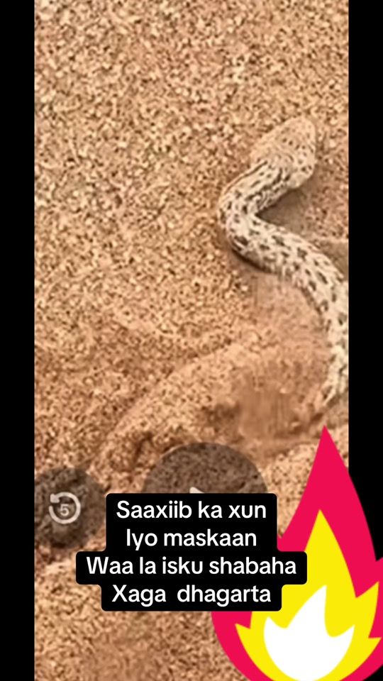 TikTok video thumbnail by haajer5