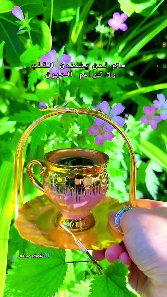 TikTok video thumbnail by abeer.alaoda