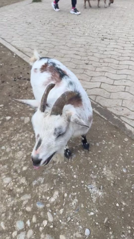 TikTok video thumbnail by emre_bs6