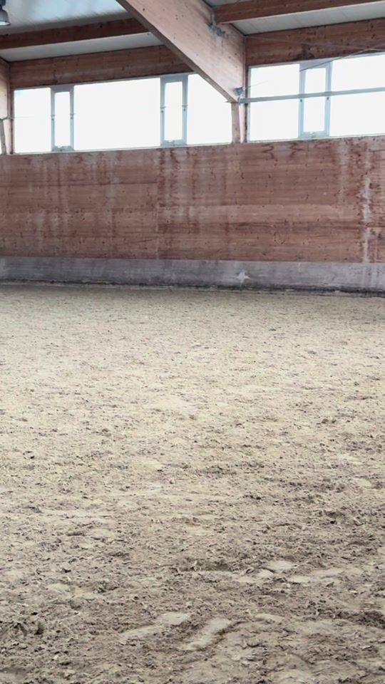 TikTok video thumbnail by flipsi.showjumping