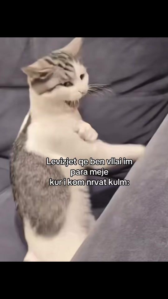 TikTok video thumbnail by aleksandrau_08