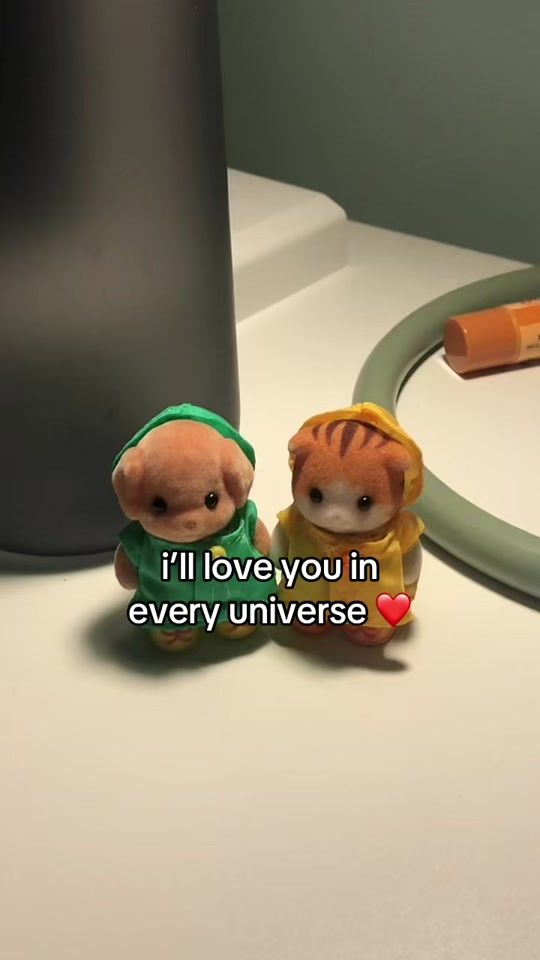 TikTok video thumbnail by sylvaniancorner