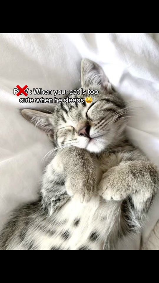 TikTok video thumbnail by uzerr_mel