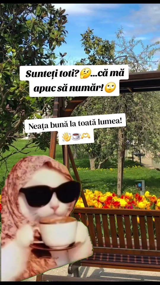 TikTok video thumbnail by a_ramy27