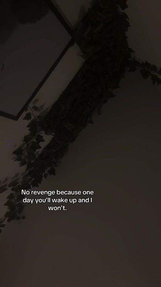 TikTok video thumbnail by ..v3nt._.acc0unt._