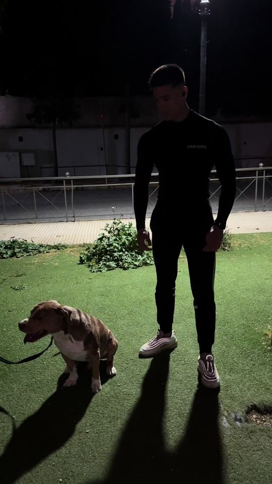 TikTok video thumbnail by harryhdr