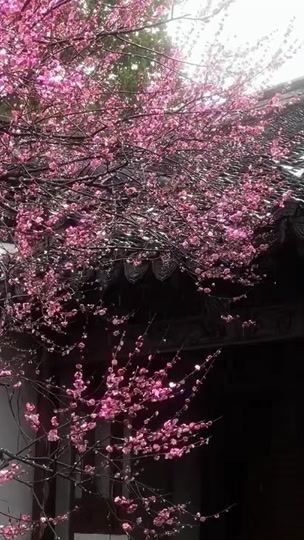 TikTok video thumbnail by wnoms