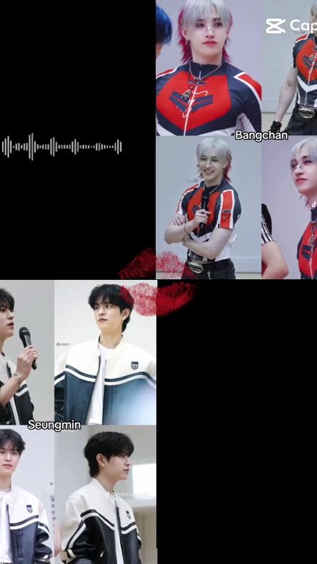TikTok video thumbnail by stray.kidsssss8