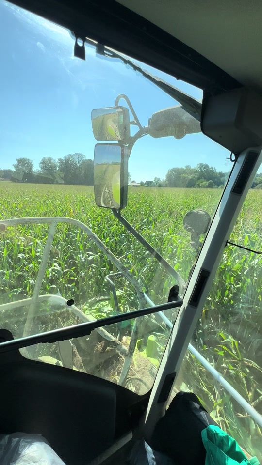 TikTok video thumbnail by tw_farming_