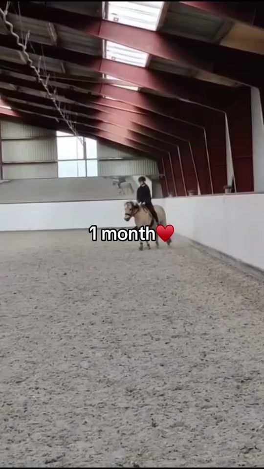 TikTok video thumbnail by equestrian_cecilie