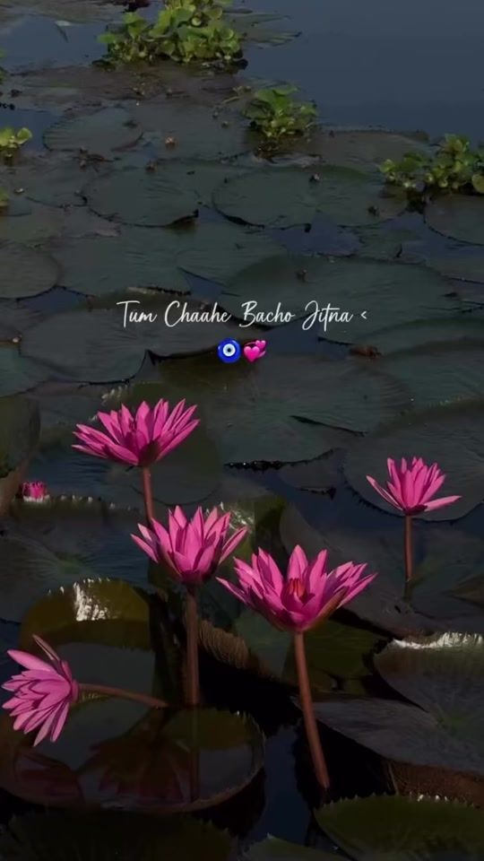 TikTok video thumbnail by khadijawrites000