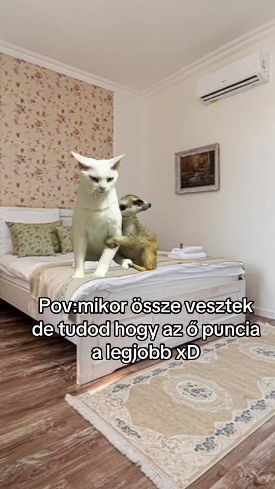 TikTok video thumbnail by bokadavid28