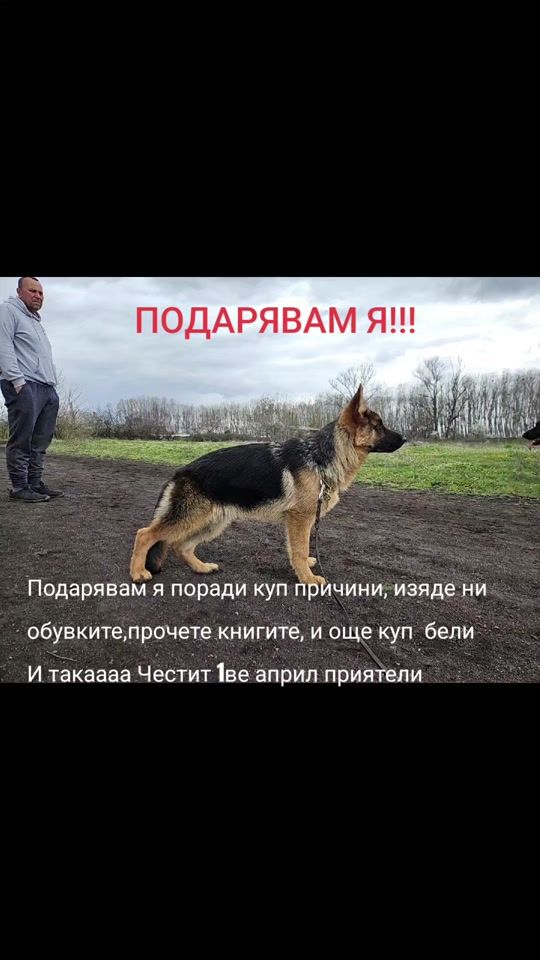 TikTok video thumbnail by hristo_gsd