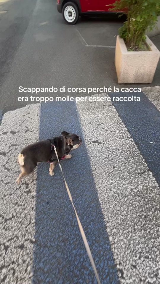 TikTok video thumbnail by mariagaravitoo