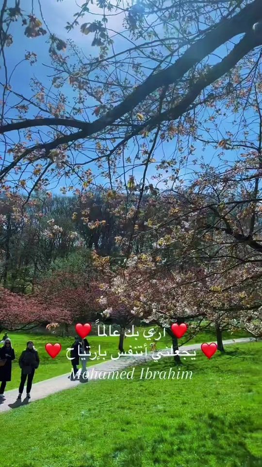 TikTok video thumbnail by moh_news