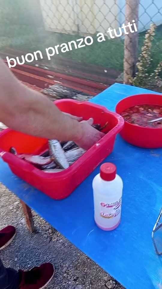 TikTok video thumbnail by antonio.roberto.m2