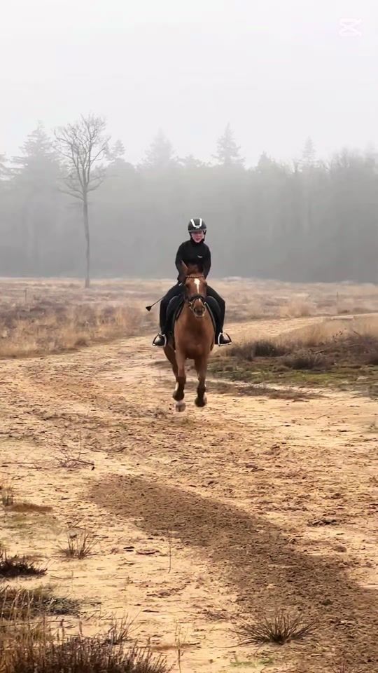 TikTok video thumbnail by elfee_and_sophie