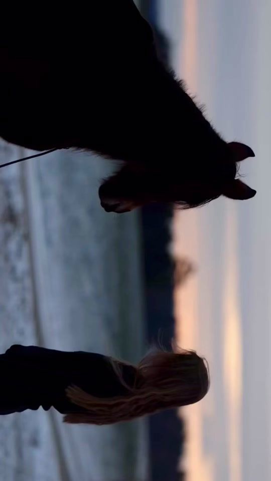 TikTok video thumbnail by fiery.horses_