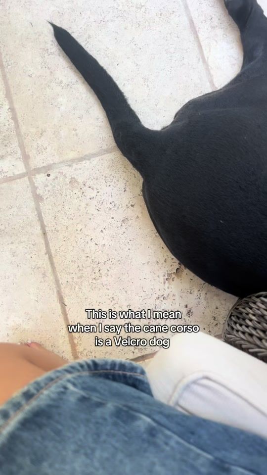 TikTok video thumbnail by lifewithmypack