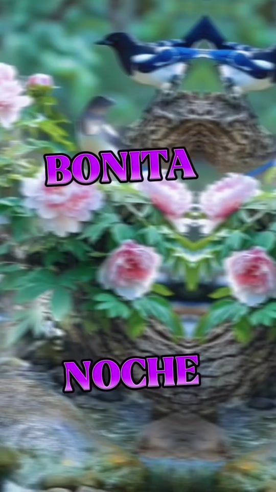 TikTok video thumbnail by vicentereyrodrigu
