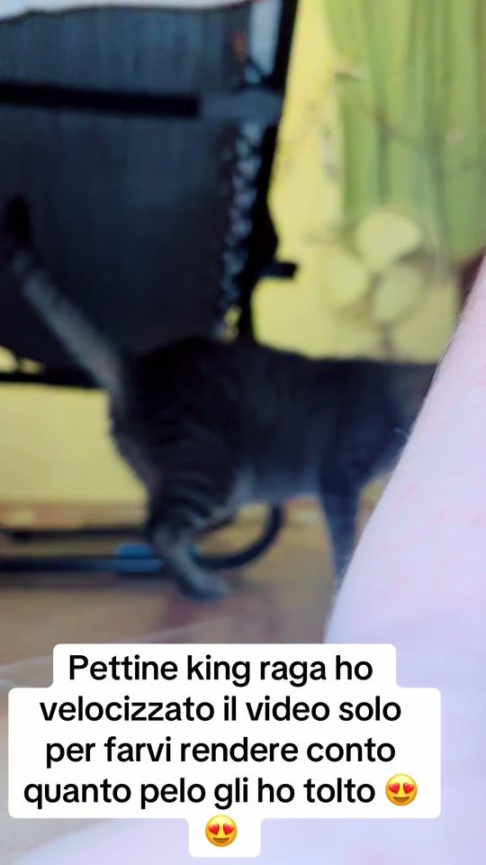 TikTok video thumbnail by onsery